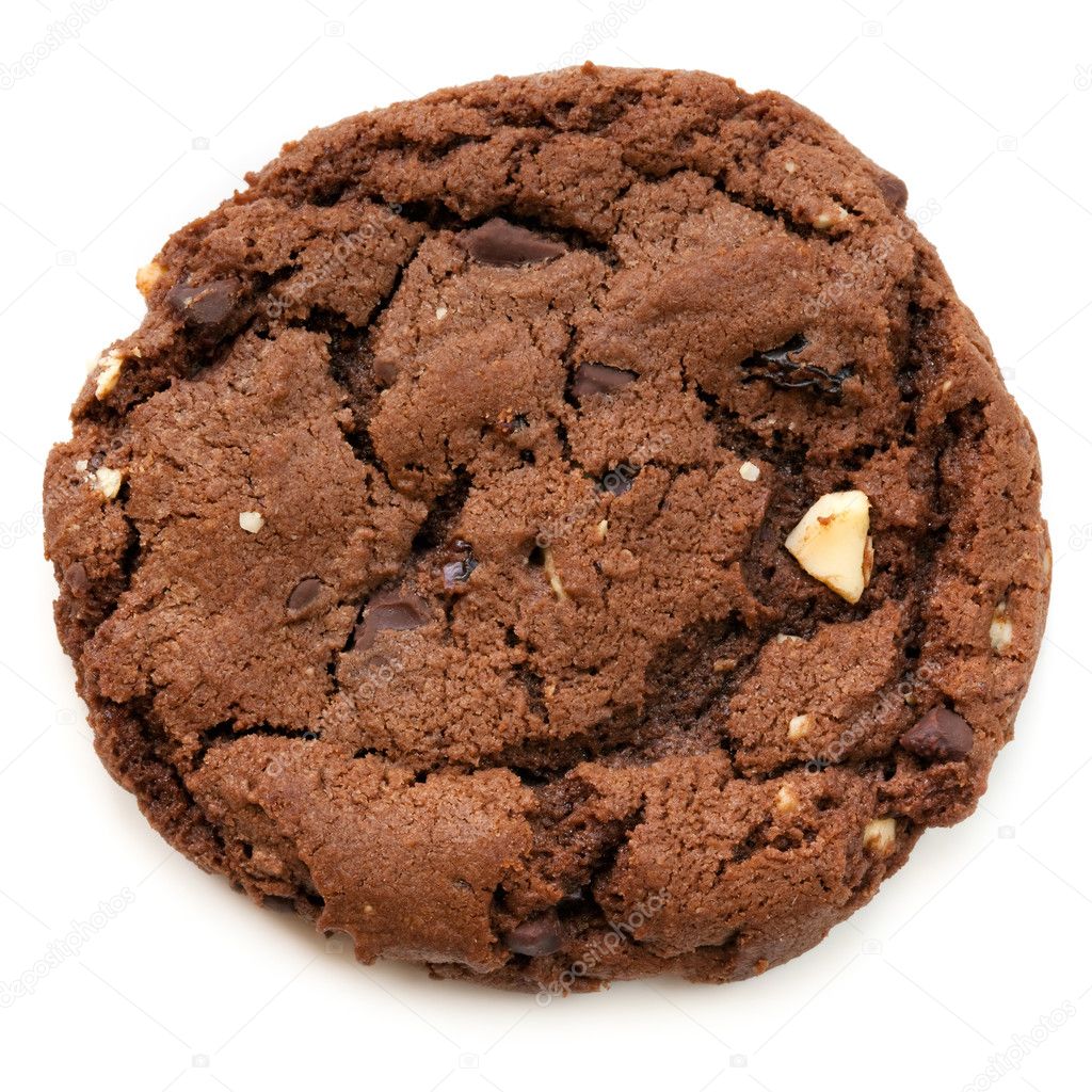 Chocolate Fudge Cookie — Stock Photo © robynmac 5534892