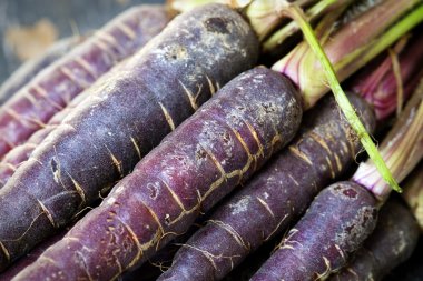 Purple Carrots clipart