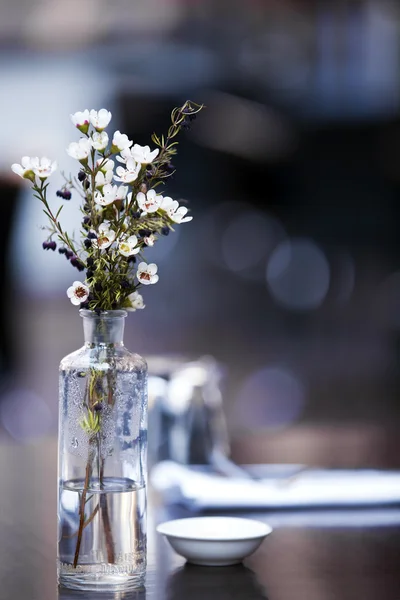 Květiny na stole café — Stock fotografie