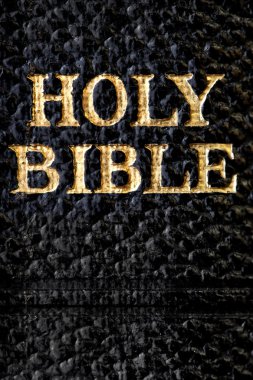 Holy Bible Macro clipart