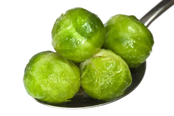 Brussel Sprouts — Stock Photo, Image