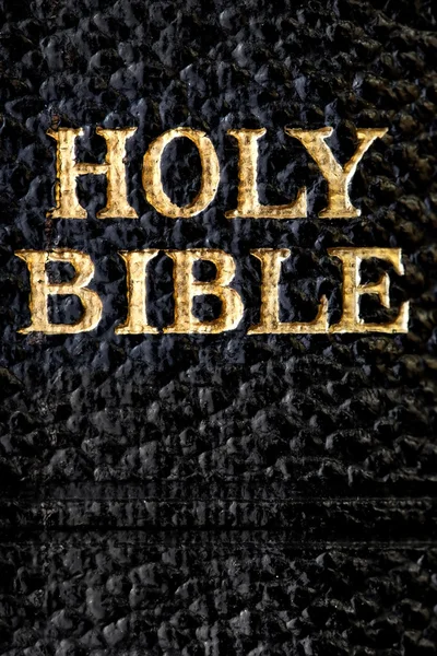 Santa Biblia Macro — Foto de Stock