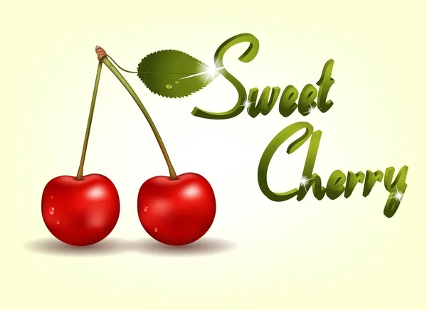 Photo realistic delicious cherry — Stock Vector