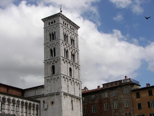 San Martino Cathedral Lucca — Stock Photo, Image