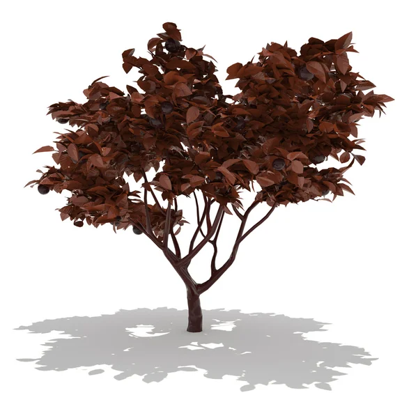 Baum aus Vollmilchschokolade — Stockfoto