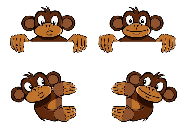 Décoration de cadre singe — Image vectorielle