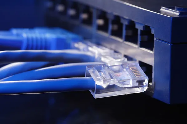 Bilgisayar ağ kablosu — Stok fotoğraf