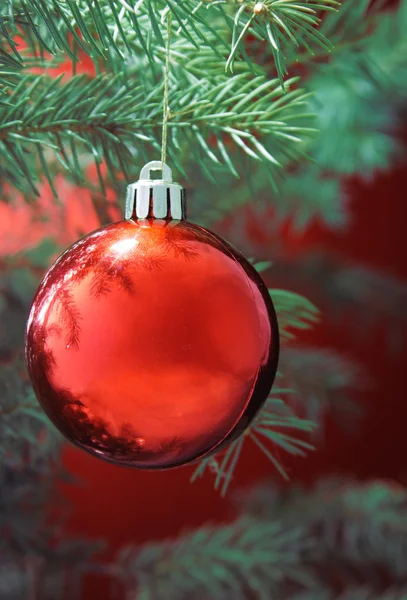 Red christmas ball and firtree brunch — Stock Photo, Image