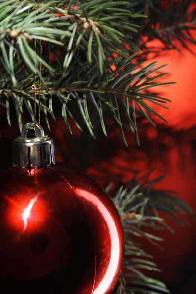 Rode Kerstmis bal en firtree brunch — Stockfoto