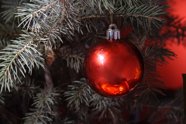 红色的圣诞球和 firtree 午餐 — 图库照片