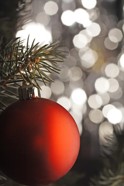 Czerwony brunch Bożego Narodzenia piłka i sosnowe — Zdjęcie stockowe