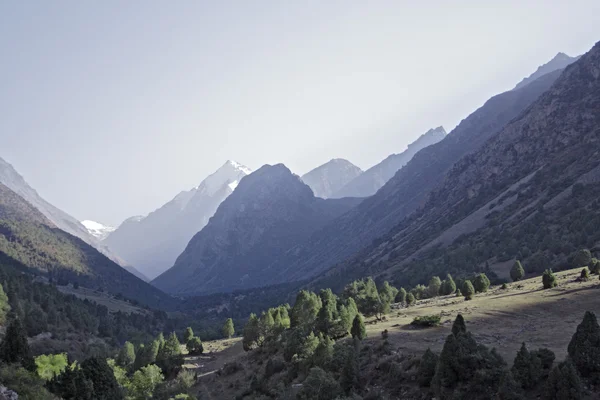 stock image Mountain and trees