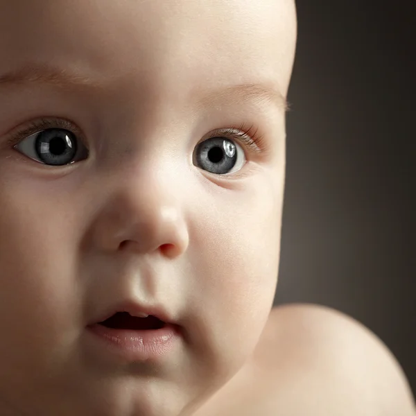 Bebekler — Stok fotoğraf