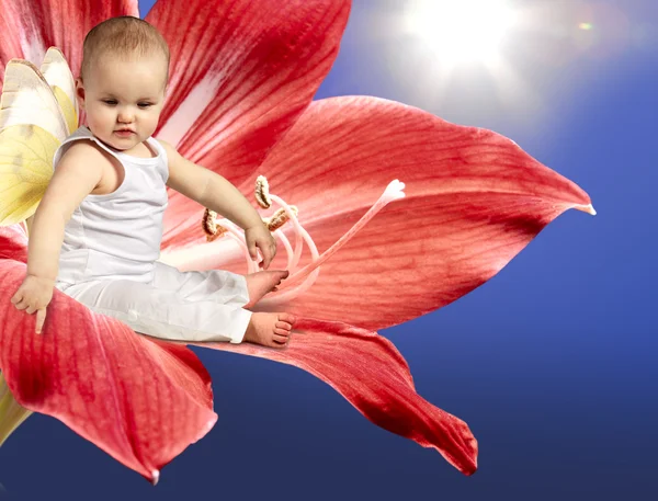 Anjo bebê em flor — Fotografia de Stock