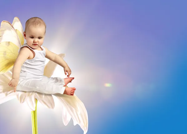 Ангел-младенец на цветке — стоковое фото