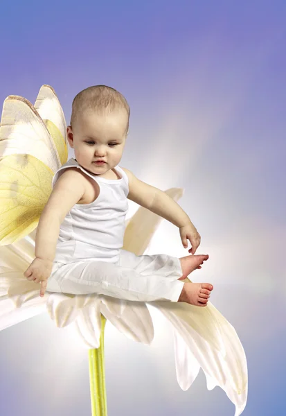 Angel bebé en flor — Foto de Stock