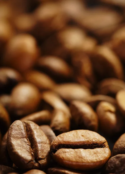 Куча зерна кофе — стоковое фото