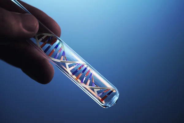 Молекула ДНК в пробірці — стокове фото