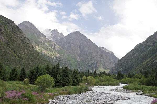stock image Kyrgyzstan mountain landscape