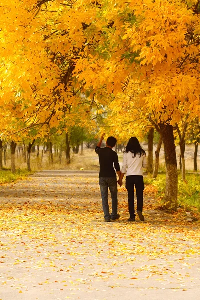 Sonbahar parkında bir çift — Stok fotoğraf