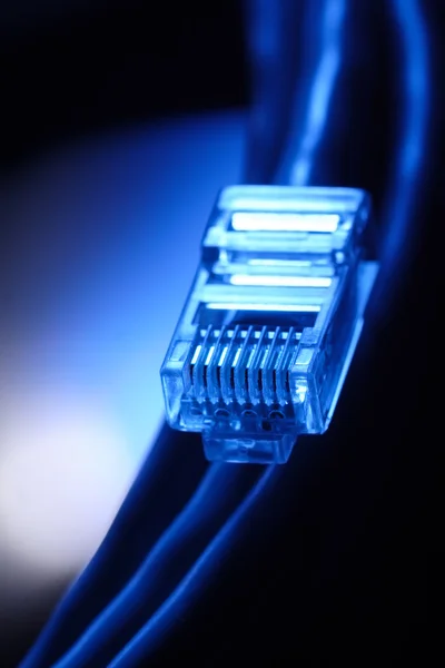 Мережний кабель комп'ютера — стокове фото