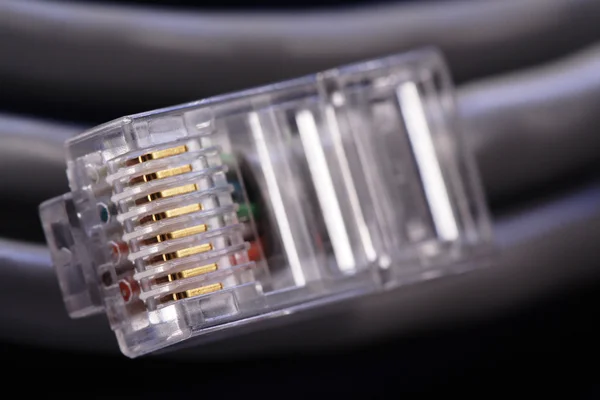 Câble réseau informatique — Photo