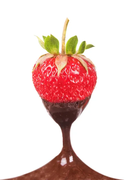 Erdbeere in schmelzende dunkle Schokolade getaucht — Stockfoto