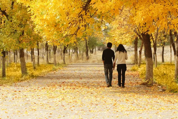 Молодая пара, идущая вместе осенью — стоковое фото