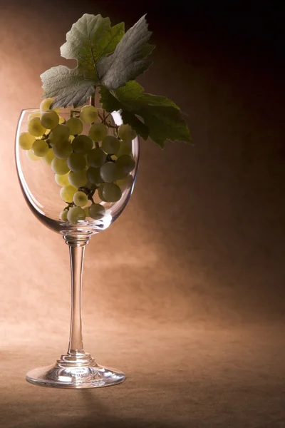 Vinho com uvas — Fotografia de Stock