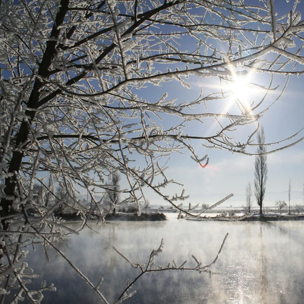 Lago nella giornata invernale — Foto Stock