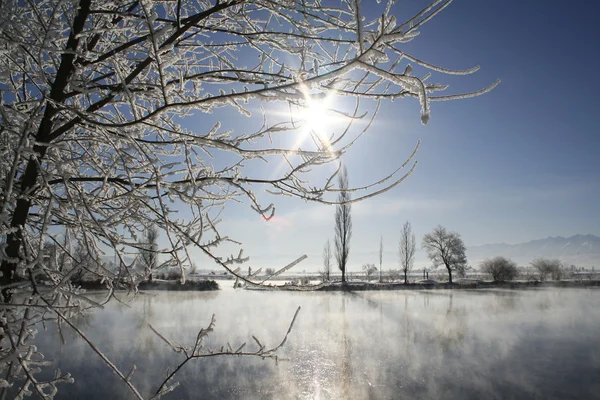 Jezero na zimní den — Stock fotografie