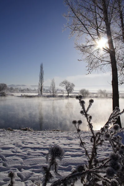 Lake on winter day — Stock Photo, Image
