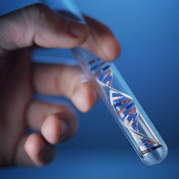 Molécula de ADN en el tubo de ensayo Fotos de stock