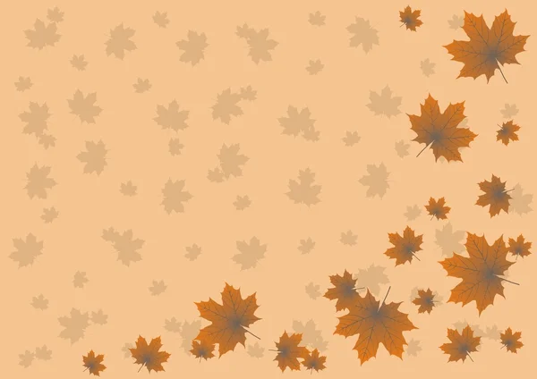 Vaahteranlehdet lentävät syksyllä taustalla — vektorikuva