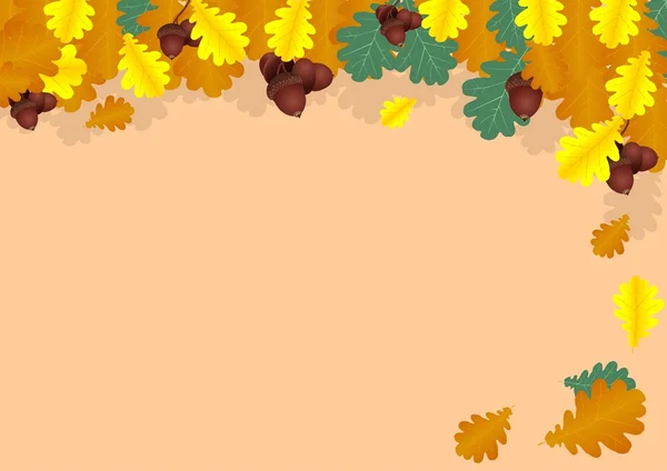 Colagem de outono de folhas de carvalho e bolotas — Vetor de Stock