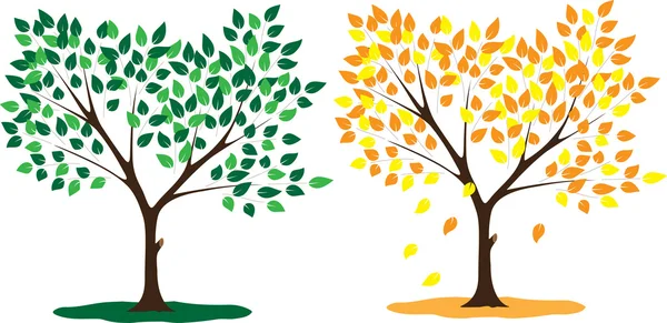 Δέντρο εποχές καλοκαίρι και το φθινόπωρο — Διανυσματικό Αρχείο
