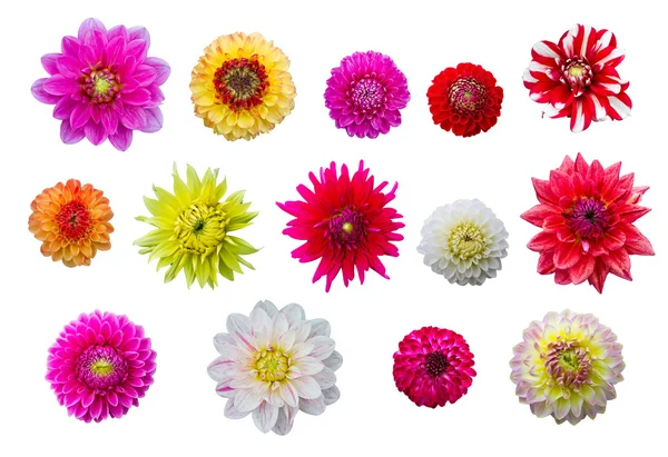 stock image Bouquet of flowers