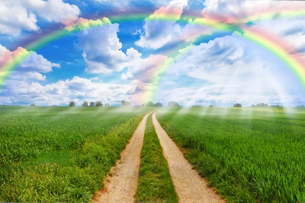 Rainbow fields — Stock Photo, Image