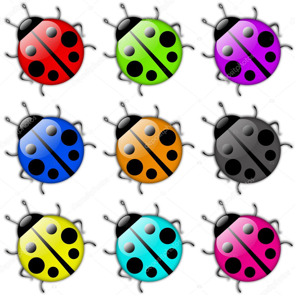 Ladybug icon set
