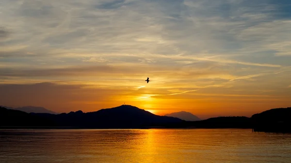 stock image Woerthersee - Austria