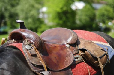 Horse saddle detail clipart