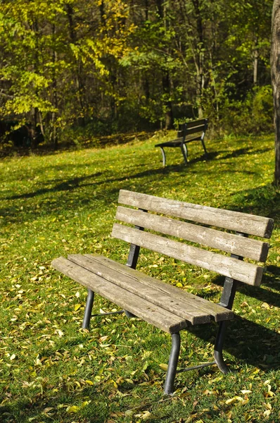 Empty park bench — Stock Photo, Image