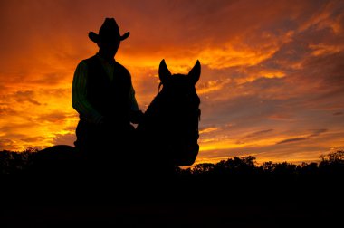 Silhouette of a horse and a rider in a cowboy hat