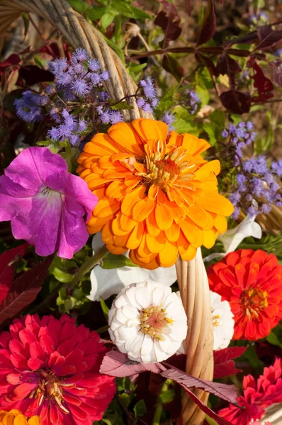 Close up image of basketful of beautiful colorful flowers — Stock Photo, Image
