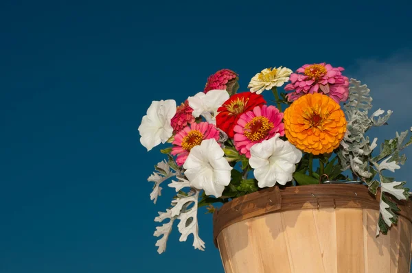 Πολύχρωμα λουλούδια σε ξύλινος κάδος — Φωτογραφία Αρχείου