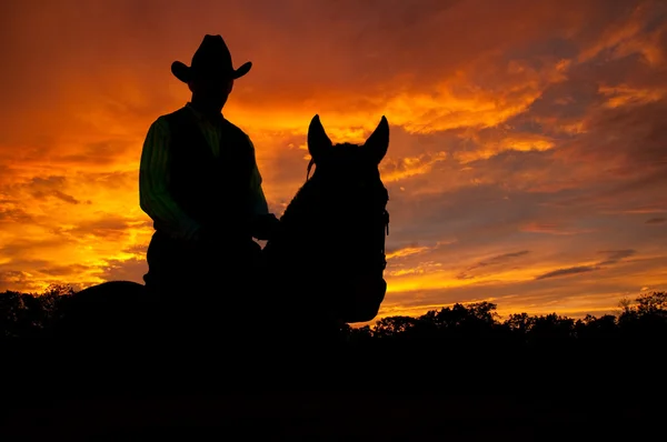 Silhueta de um cavalo e um cavaleiro em um chapéu de cowboy — Fotografia de Stock