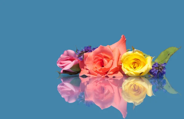 Hermosas rosas de diferentes colores sobre fondo azul —  Fotos de Stock