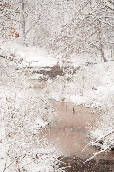 Starker Schneefall über einem kleinen Bach — Stockfoto