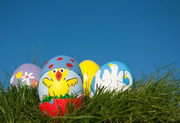 复活节小鸡在蛋壳上画 — 图库照片
