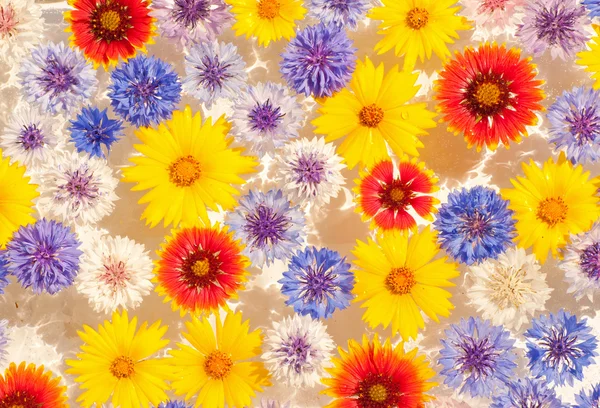 Abstract background image of colorful flowers — Stock Photo, Image